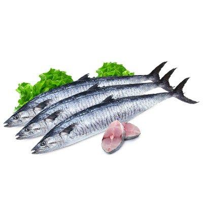 Fish - Kadal